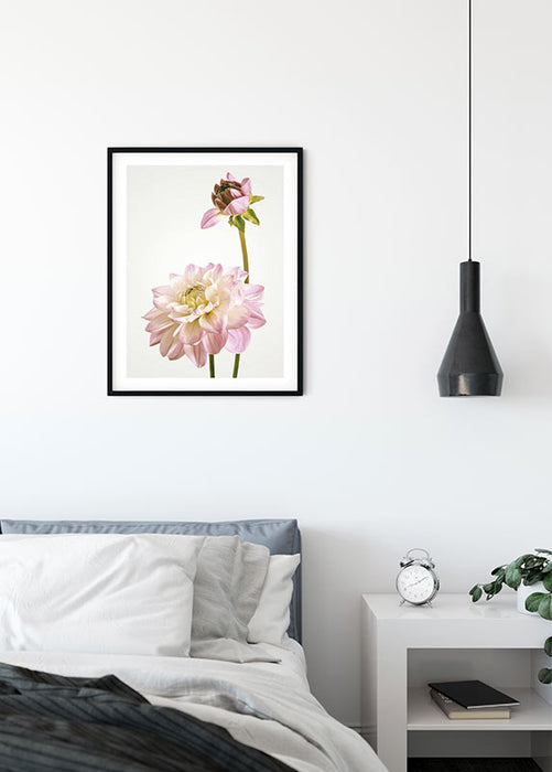Wandbild - Dahlia