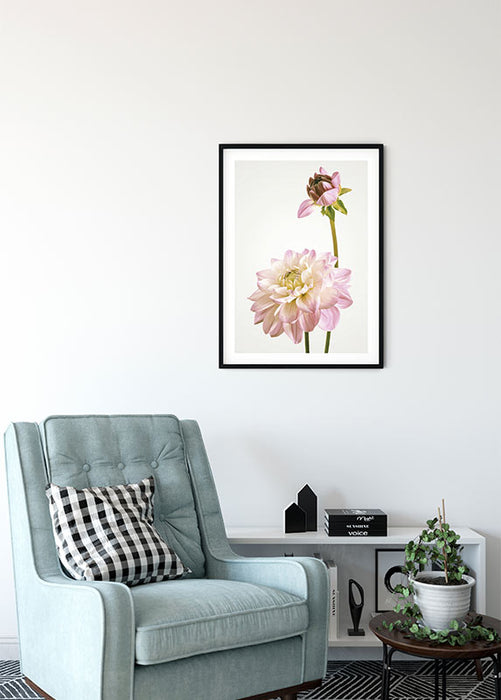 Wandbild - Dahlia
