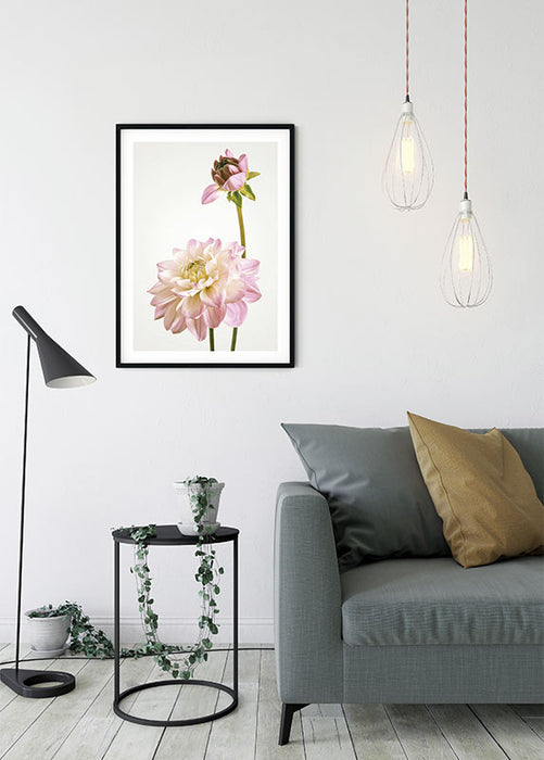 Wandbild - Dahlia