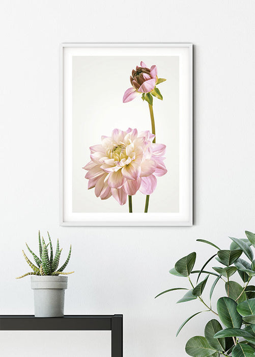 Wandbild - Dahlia