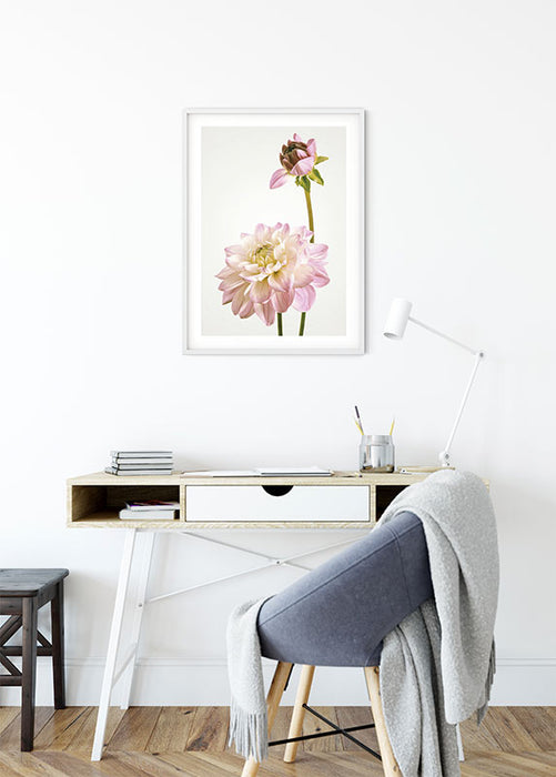 Wandbild - Dahlia