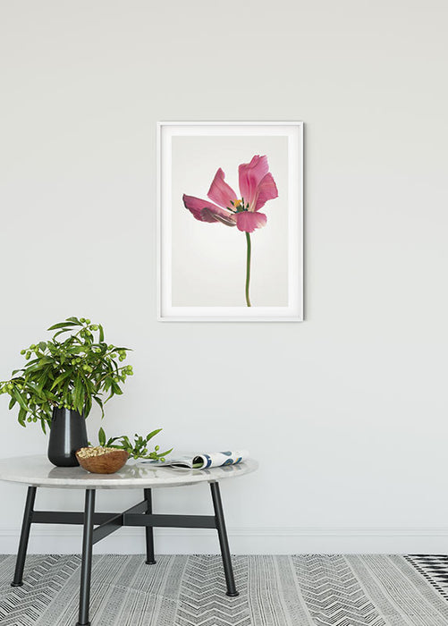 Wandbild - Tulip