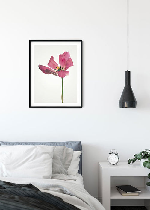 Wandbild - Tulip