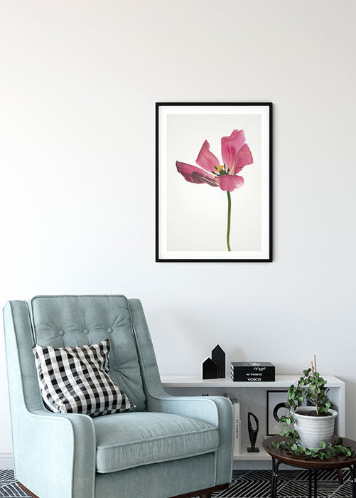 Wandbild - Tulip