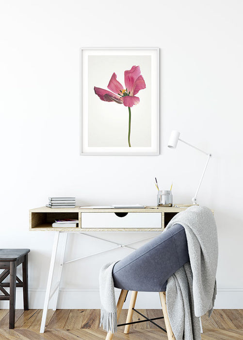 Wandbild - Tulip