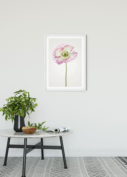 Wandbild - Poppy