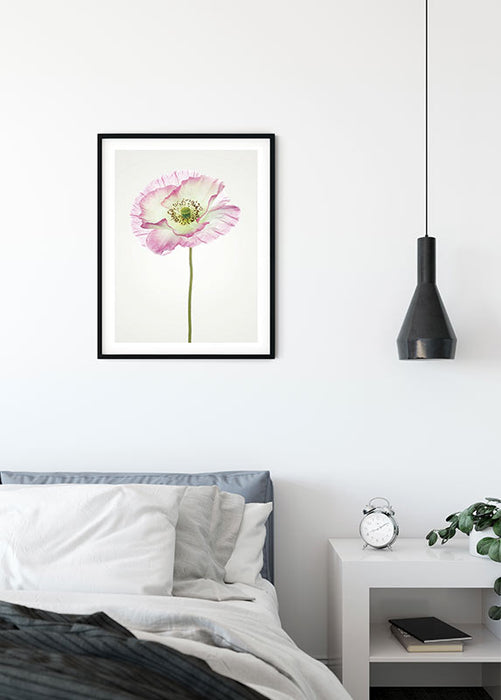 Wandbild - Poppy
