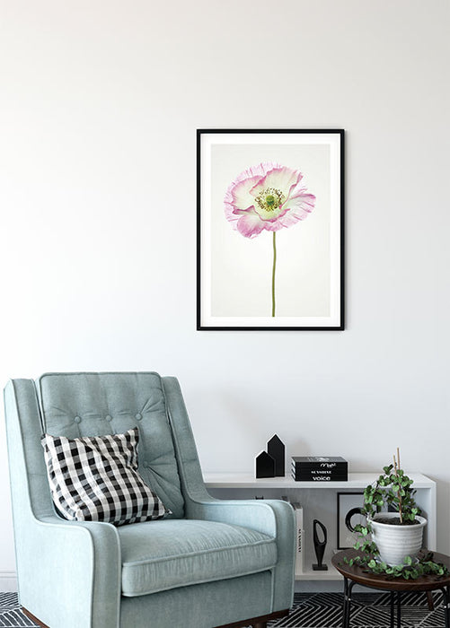 Wandbild - Poppy