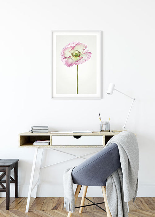 Wandbild - Poppy