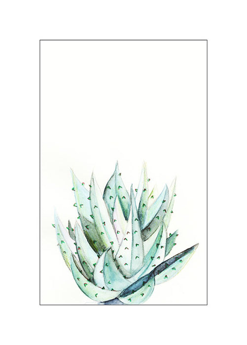 Wandbild - Aloe Watercolor
