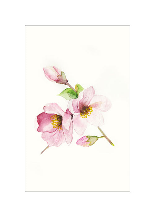 Komar NEU | Wandbild - Magnolia Breathe - Größe 40 x 50 cm