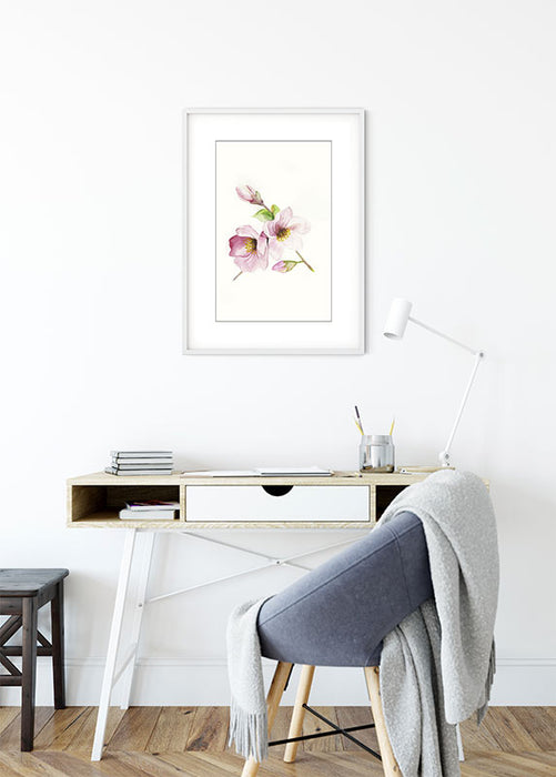 Wandbild - Magnolia Breathe