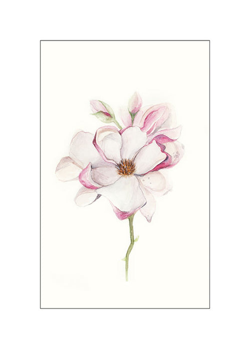 Komar NEU | Wandbild - Magnolia Blossom - Größe 30 x 40 cm