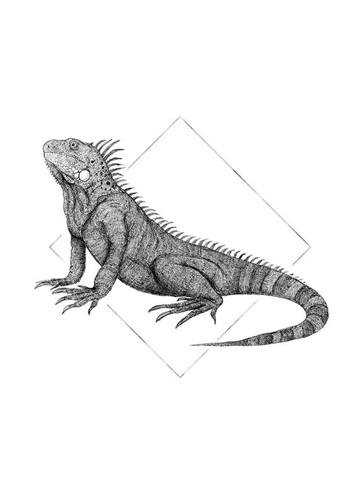 Wandbild - Iguana White