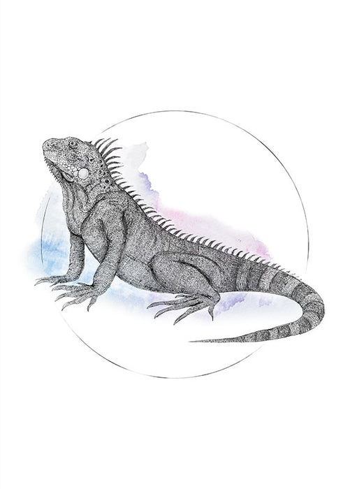 Wandbild - Iguana Watercolor