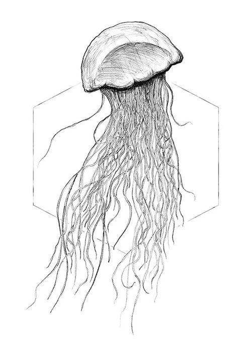 Wandbild - Jellyfish White