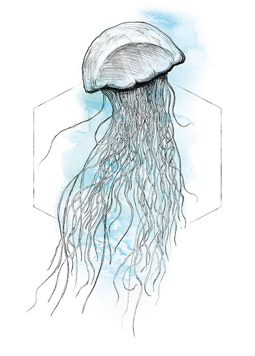 Wandbild - Jellyfish Watercolor