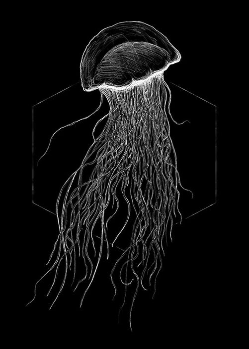 Komar NEU | Wandbild - Jellyfish Black - Größe 30 x 40 cm