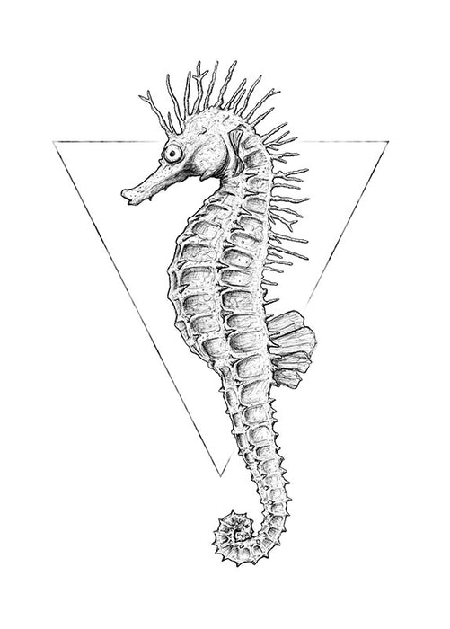 Wandbild - Sea Horse White