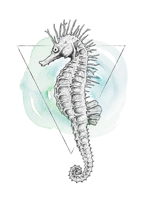 Wandbild - Sea Horse Watercolor