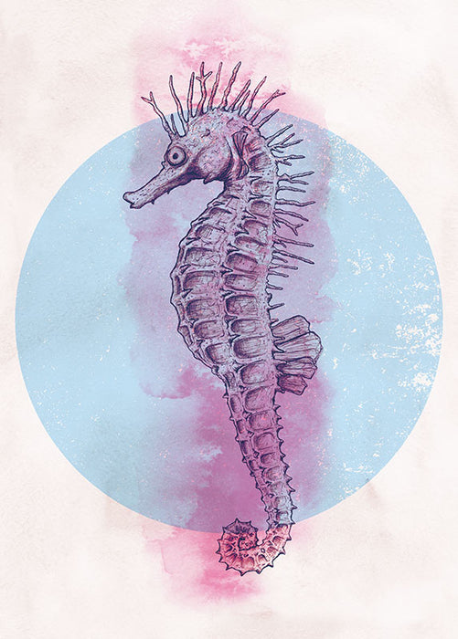 Wandbild - Sea Horse Circle