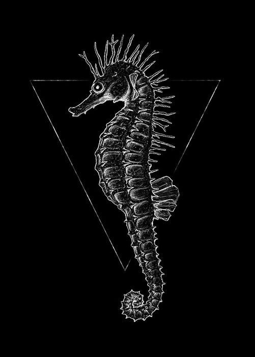 Komar NEU | Wandbild - Sea Horse Black - Größe 50 x 70 cm