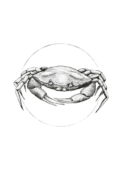 Wandbild - Crab White