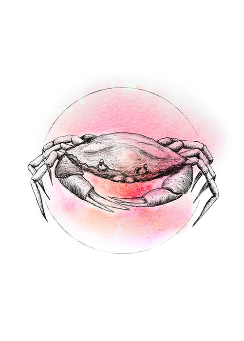 Wandbild - Crab Watercolor