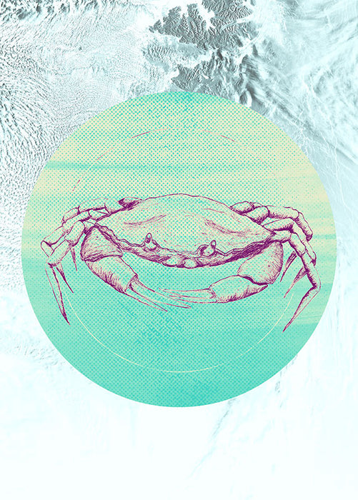 Komar NEU | Wandbild - Crab Sea - Größe 50 x 70 cm