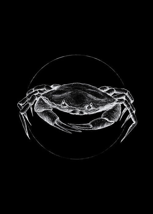 Wandbild - Crab Black