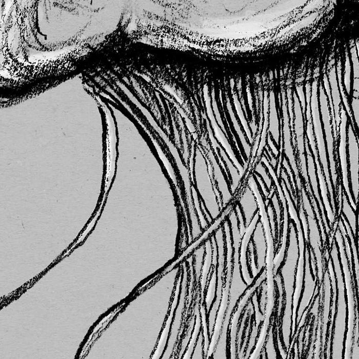 Digitaldruck Vlies Fototapete | Jellyfish Panel | 100 x 250 cm