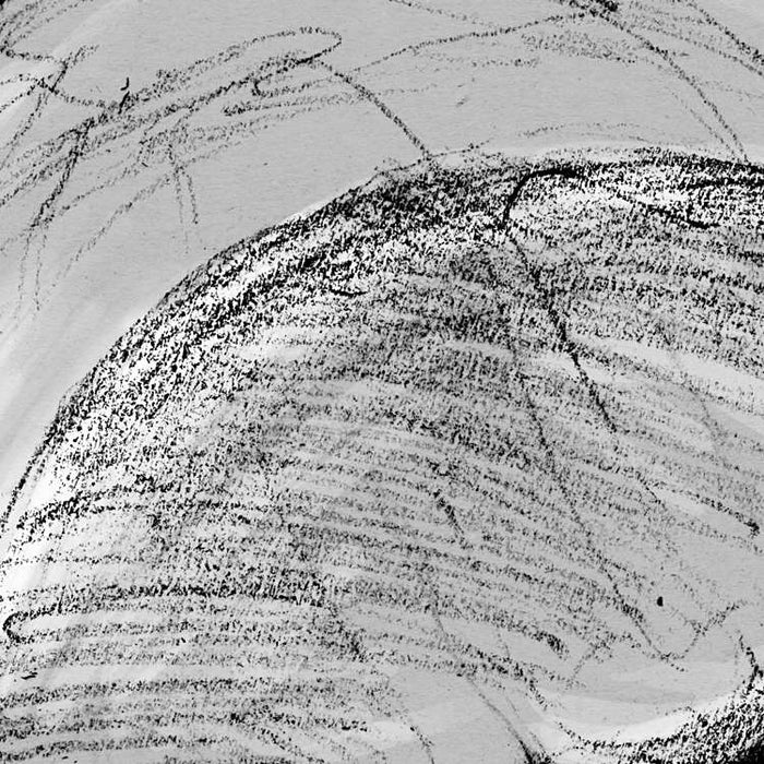 Digitaldruck Vlies Fototapete | Jellyfish Panel | 100 x 250 cm