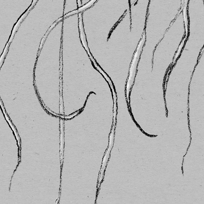 Digitaldruck Vlies Fototapete | Jellyfish Panel | 100 x 250 cm