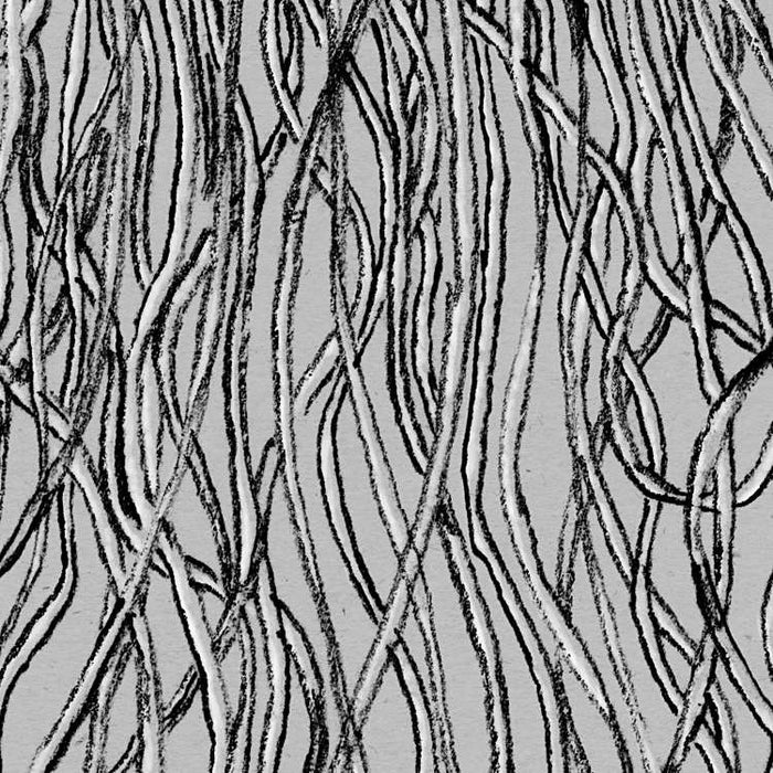 Digitaldruck Vlies Fototapete | Jellyfish Panel | 100 x 250 cm