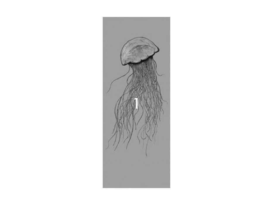 Digitaldruck Vlies Fototapete | Jellyfish Panel | 100 x 250 cm