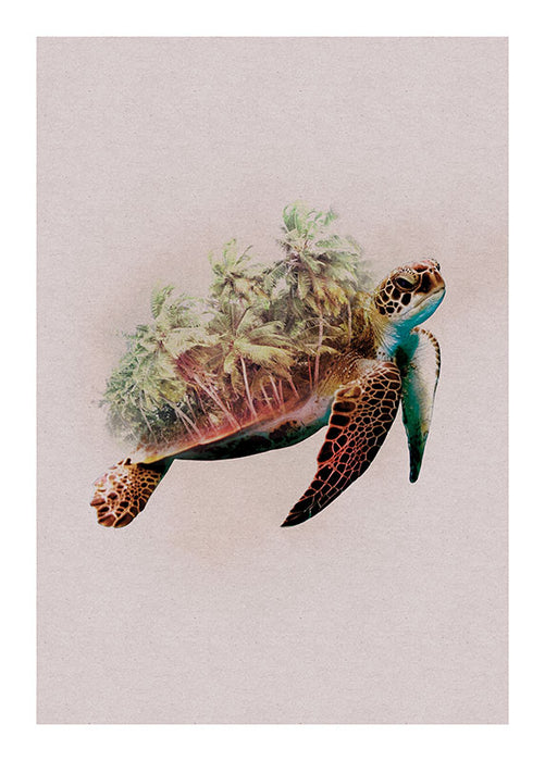 Komar NEU | Wandbild - Animals Paradise Turtle - Größe 40 x 50 cm