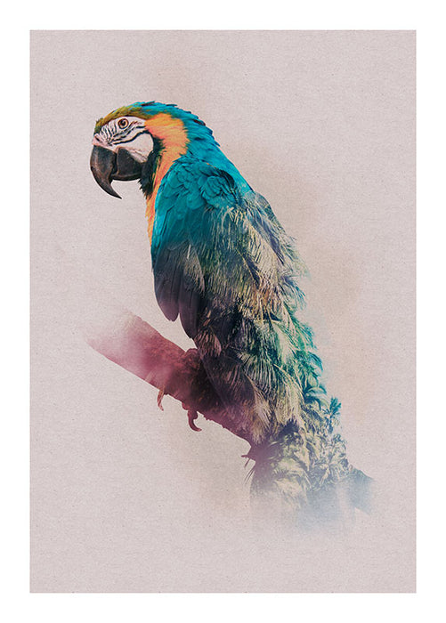 Komar NEU | Wandbild - Animals Paradise Parrot - Größe 50 x 70 cm