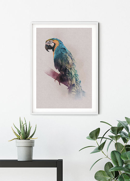 Komar NEU | Wandbild - Animals Paradise Parrot - Größe 40 x 50 cm