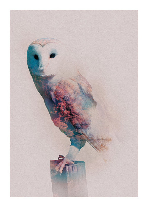 Wandbild - Animals Forest Owl