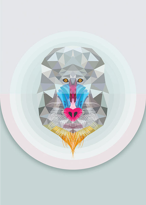 Komar NEU | Wandbild - Baboon - Größe 50 x 70 cm