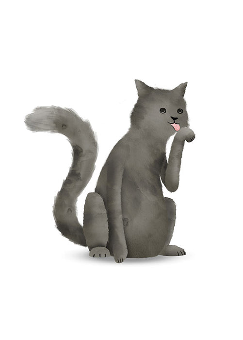 Komar NEU | Wandbild - Cute Animal Cat - Größe 50 x 70 cm