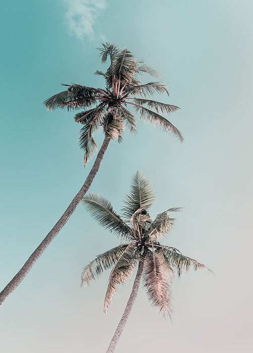 Komar NEU | Wandbild - Miami Palms - Größe 40 x 50 cm