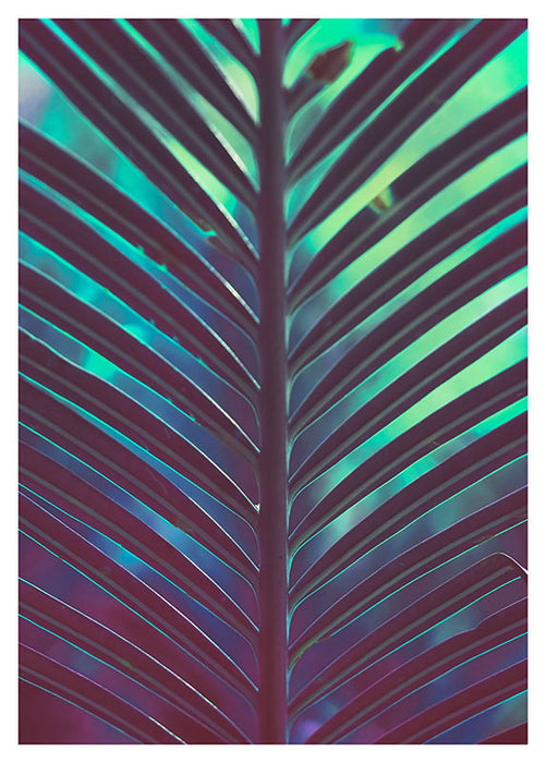 Komar NEU | Wandbild - Hide - Größe 30 x 40 cm