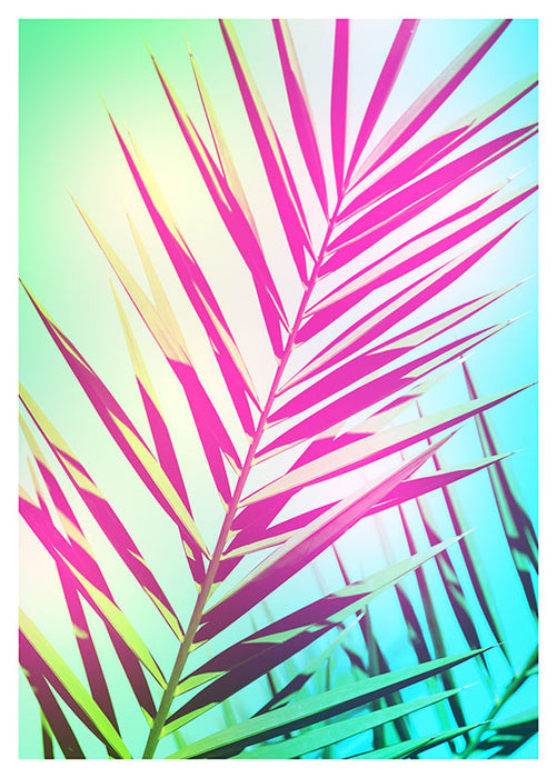 Komar NEU | Wandbild - Shine - Größe 50 x 70 cm