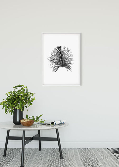 Wandbild - Feather White