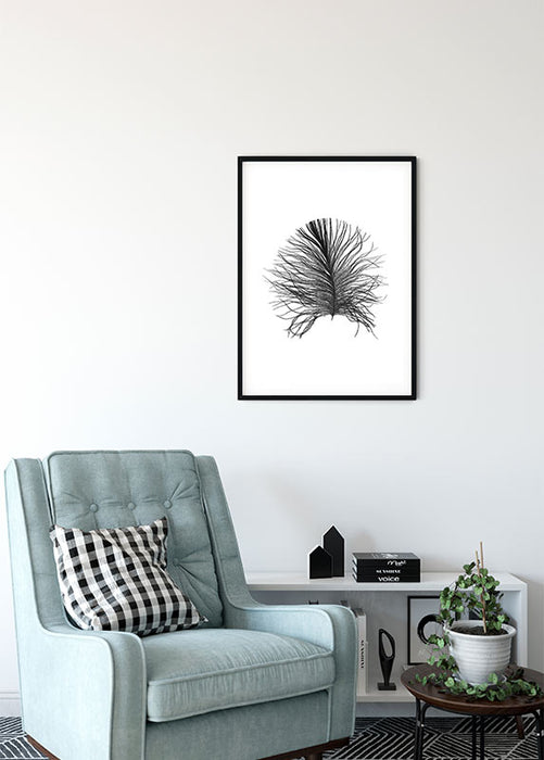 Komar NEU | Wandbild - Feather White - Größe 40 x 50 cm
