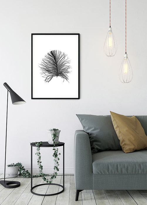 Komar NEU | Wandbild - Feather White - Größe 40 x 50 cm