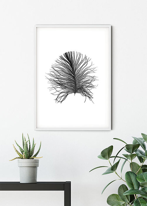 Wandbild - Feather White