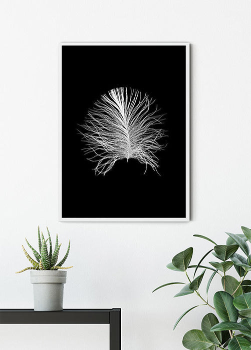 Wandbild - Feather Black
