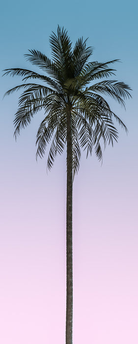 Digitaldruck Vlies Fototapete | Skyhigh Panel | 100 x 250 cm